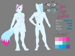  4:3 absurd_res anthro arctic_fox breasts canid canine character_name dipstick_tail female flat_colors fox fur genitals hi_res ikian_loverdail loverdail1 mammal markings model_sheet nipples nude pink_nipples pink_nose pussy solo tail_markings white_body white_fur 