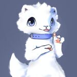  1:1 ambiguous_gender anthro blep blue_eyes blue_sclera collar fluffy fluffy_tail fur handpaw hi_res looking_at_viewer lutrine mammal mustelid paws simple_background smile snoii_(snoiifoxxo) snoiifoxxo solo tongue tongue_out tuft white_background white_body white_fur 