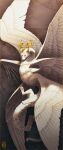 2021 absurd_res ambiguous_gender digital_media_(artwork) dragon feathered_dragon feathered_wings feathers feral fur furred_dragon hi_res horn paws shinerai solo wings wyvern yellow_eyes 