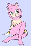  amy_rose anthro barefoot big_breasts breasts eulipotyphlan feet female fours_(artist) genitals hedgehog hi_res humanoid_feet looking_at_viewer mammal nude open_mouth open_smile pussy sega simple_background sitting smile solo sonic_the_hedgehog_(series) 