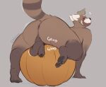  ailurid anthro anus backsack balls butt feet food food_fetish food_play foreskin fruit genitals grinding hi_res looking_at_viewer looking_back male mammal minedoo minedoo_(character) pawpads penis plant presenting presenting_hindquarters pumpkin raised_tail red_panda solo sound_effects 