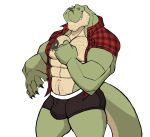  absurd_res anthro big_muscles black_clothing black_underwear body_hair bulge chest_hair clothed clothing darknaigart dinosaur facial_hair flannel_shirt green_body hi_res jace_(darknaig) male muscular muscular_anthro muscular_male open_clothing open_topwear pecs reptile scalie simple_background solo tattoo theropod topwear tyrannosaurid tyrannosaurus tyrannosaurus_rex underwear white_background 