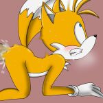  1:1 2_tails anal anal_penetration canid canine doggystyle duo fox from_behind_position male male/male mammal miles_prower multi_tail penetration rough_sex sega sex solo sonic_the_hedgehog_(series) spanky15 yellow_body 