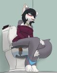  absurd_res anthro anus bathroom big_breasts black_hair blue_eyes book bottomless breasts canid canine canis clothed clothing digital_media_(artwork) feces female filth filthy fur grey_body grey_fur hair hi_res jewelry mammal necklace notmypornaccount open_mouth panties panties_down partially_clothed pooping relieved scat simple_background sitting solo sweater toilet toilet_use topwear underwear underwear_down white_body white_fur wolf 