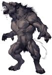  anthro black_body black_fur bodily_fluids canid canine canis claws digitigrade drooling fluffy fur hi_res male mammal muscular muscular_male neck_tuft nmvsolidus open_mouth paws red_eyes saliva simple_background solo teeth tuft unfinished were werecanid werecanine werewolf wolf 