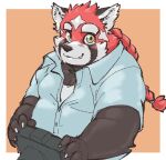  2021 ailurid anthro black_body black_nose camera clothing exe_exem kemono lifewonders male mammal overweight overweight_male red_body red_panda shirt simple_background solo tokyo_afterschool_summoners topwear video_games zhurong_(tas) 