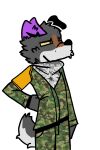  2:3 absurd_res alpha_channel anthro border_collie bracelet canid canine canis clothed clothing collie digital_media_(artwork) domestic_dog fur herding_dog hi_res jewelry lil_doggy_(artist) male mammal military_uniform pastoral_dog purple_ears serious sheepdog shemagh simple_background solo uniform 