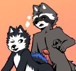  absurd_res anthro breath canid canine canis domestic_dog duo erection fur hi_res husky male male/male mammal nordic_sled_dog panting procyonid raccoon sex spitz steam tryedge30 unknown_artist 