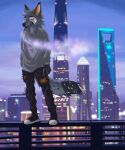  absurd_res american_kestrel anthro balcony canid canine city clothing detailed_background hi_res kosten looking_at_viewer male mammal maned_wolf night pose relaxing shanghai slyhighcoyote smoking solo torn_clothing 