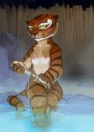  2018 anthro areola conditional_dnp digital_media_(artwork) dreamworks elijah-draws felid female hi_res hot_spring kung_fu_panda mammal master_tigress nipples nude outside pantherine partially_submerged pink_areola pink_nipples solo tiger water 