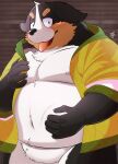  2021 absurd_res anthro belly bernese_mountain_dog black_body black_fur brown_body brown_fur canid canine canis clothed clothing domestic_dog fur hi_res humanoid_hands kemono male mammal molosser moobs mountain_dog navel nipples open_clothing open_shirt open_topwear overweight overweight_male shirt solo swiss_mountain_dog takkusk tongue tongue_out topwear white_body white_fur 