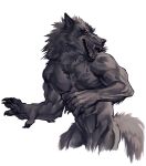  anthro canid canine canis claws fur grey_body grey_fur hi_res male mammal muscular neck_tuft nmvsolidus open_mouth pawpads paws pecs simple_background solo teeth tuft were werecanid werecanine werewolf wolf 