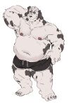  2021 anthro armpit_hair bearwivme belly black_body black_nose body_hair bulge canid canine canis clothing domestic_dog hi_res humanoid_hands male mammal moobs navel nipples overweight overweight_male simple_background solo underwear white_background white_body 