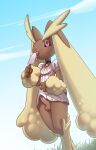  anthro balls big_ears brown_body brown_fur clothed clothing crossdressing cubow day dessert dress erection erection_under_skirt eyelashes food fur genitals girly grass hi_res holding_food holding_object holding_popsicle humanoid_genitalia humanoid_penis ice_cream long_ears lopunny low-angle_view male nintendo outside penis pink_eyes pink_nose plant pok&eacute;mon pok&eacute;mon_(species) popsicle shaded sky solo tan_body tan_ears tan_fur video_games 