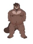  2021 absurd_res anthro bearwivme beaver belly biped brown_body brown_nose eyes_closed hi_res male mammal moobs navel nipples overweight overweight_male rodent simple_background solo white_background 