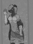  3:4 against_surface anthro athletic athletic_anthro athletic_female bandage bottomwear bottomwear_pull boxing_tape breasts breasts_against_glass clothing clothing_pull digital_media_(artwork) female floppy_ears freckles hair hi_res hyaenid jacket kawattame kenny_(kawattame) kinktober looking_at_viewer mammal markings monochrome navel on_glass short_hair shorts shorts_pull shower simple_background small_breasts smile solo striped_hyena striped_markings stripes tomboy topwear undressing 