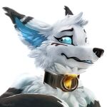  1:1 2021 black_nose blue_eyes blue_sclera canid canine collar digital_media_(artwork) fox fur mammal open_mouth shalinka smile teeth tongue white_body white_fur 