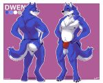  anthro bcokami blue_body blue_fur blue_hair bulge canid canine canis clothing dwen fur hair hi_res jockstrap male mammal model_sheet musclegut solo underwear wolf 