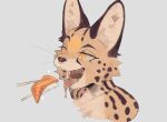  2021 anthro cheek_tuft chopsticks facial_tuft fangs felid feline fish_meat food fur hi_res inner_ear_fluff mammal meat nigirizushi open_mouth pupils rice salmon_(food) serval slit_pupils solo spots spotted_body spotted_fur strayserval sushi teeth tongue tongue_out tuft whiskers 