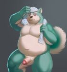  2021 aipangpangdeyua anthro balls belly canid canine canis domestic_dog erection genitals green_body hi_res humanoid_genitalia humanoid_hands humanoid_penis kemono male mammal moobs navel nipples overweight overweight_male penis simple_background solo towel towel_around_neck 