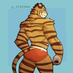  1:1 2021 anthro blue_background butt clothing english_text felid fur jrjresq male mammal muscular muscular_anthro muscular_male number pantherine rear_view simple_background solo standing striped_body striped_fur stripes text tiger tuft underwear 