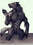  animal_genitalia animal_penis anthro balls canid canine canis claws closed_(disambiguation) digitigrade eyes_closed fluffy fully_sheathed fur genitals hi_res male mammal muscular neck_tuft nmvsolidus penis raining sheath solo tuft were werecanid werecanine werewolf wet wet_body wet_fur wolf 