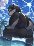  anthro asian_clothing butt canid canine canis clothing crouching domestic_dog east_asian_clothing fundoshi fundoshi_only fur hi_res japanese_clothing lifewonders looking_back male mammal moritaka multicolored_body multicolored_fur overweight overweight_male palm_tree partially_submerged plant ponzu_tas scar solo tokyo_afterschool_summoners tree two_tone_body two_tone_fur underwear video_games 