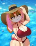  4:5 big_breasts bikini breasts cleavage clothed clothing curvy_figure detailed_background female hat headgear headwear hi_res huge_breasts kappa_spark lagomorph leporid looking_at_viewer mammal mature_female rabbit sega solo sonic_the_hedgehog_(series) standing swimwear thick_thighs vanilla_the_rabbit voluptuous water wide_hips 