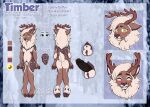  absurd_res anthro antlers ball_tuft balls big_butt butt capreoline cervid cervine english_text fluffy genitals girly hi_res horn kaseylicht male mammal mane model_sheet penis pubes reindeer shy small_(disambiguation) solo submissive text timber_(deerloaf) tuft 