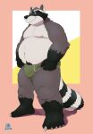  2021 absurd_res anthro belly black_body black_nose bulge clothing grey_body hi_res kemono male mammal moobs nipples nookdae overweight overweight_male procyonid raccoon simple_background solo underwear 