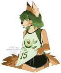  2021 5_fingers alpha_channel anthro breasts canid canine clothed clothing digital_media_(artwork) female fingers green_eyes green_hair hair hi_res kittydee mammal smile solo 