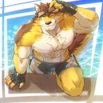  abs anthro barrel_(live-a-hero) bottomwear bulge canid canine canis clothing eyewear fingerless_gloves gloves goggles handwear hi_res katoributa_a lifewonders live-a-hero male mammal muscular muscular_anthro muscular_male one_eye_closed pecs poolside shorts solo swimming swimwear video_games water wink wolf 