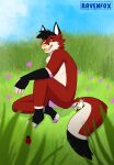  absurd_res canid canine duo flower fox grass hi_res human macro male mammal meadow micro plant ravenwolford size_difference slightly_chubby slim 
