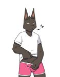  anthro black_body black_fur clothed clothing clothing_lift domestic_cat felid feline felis fur gato_matero gato_matero&#039;s_fursona hi_res looking_at_viewer male mammal pink_clothing pink_underwear shirt shirt_lift simple_background solo standing topwear underwear undressing whistle white_background white_clothing white_shirt white_topwear 