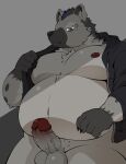  2021 anthro arknights balls belly black_nose clothed clothing erection fur genitals grey_body grey_fur hi_res hoodie humanoid_genitalia humanoid_hands humanoid_penis hyaenid hypergryph kemono male mammal moobs navel nipples open_clothing open_hoodie open_topwear overweight overweight_male penis pomupomu490 simple_background solo spot_(arknights) studio_montagne topwear video_games 