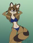  2015 anthro bikini clothing female hi_res mammal procyonid raccoon raccoonpioneer solo swimwear 