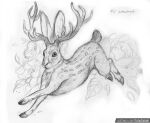  2021 ambiguous_gender antlers feral hi_res hooves horn jackalope lagomorph mammal monochrome solo tanutanuki traditional_media_(artwork) 