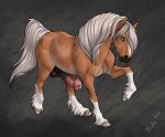  absurd_res anatomically_correct anatomically_correct_genitalia anatomically_correct_penis animal_genitalia animal_penis balls big_flare blue_eyes dolehest equid equine equine_penis erection feral flared_penis genitals hair hi_res hooves horse male mammal maxym_(bloopertrooper) penis rufciu simple_background solo 