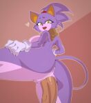  &lt;3 anthro anus blaze_the_cat breasts butt domestic_cat felid feline felis female female_penetrated genitals hi_res male male/female male_penetrating male_penetrating_female mammal nyuworks penetration penile penile_penetration penis_in_pussy purple_body pussy sega sex sonic_the_hedgehog_(series) vaginal vaginal_penetration 