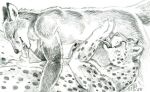  2008 69_position anthro anthro_on_anthro anthro_on_bottom anthro_on_top balls black_ears canid canine cheetah claws duo ears_back erection eyes_closed felid feline fellatio fox fur genitals gloves_(marking) graphite_(artwork) hands_on_hips heather_bruton low_res male male/male male_on_bottom male_on_top mammal markings nude on_bottom on_top oral pencil_(artwork) penile penis pivoted_ears sex side_view signature smile spots spotted_body spotted_fur traditional_media_(artwork) whiskers 