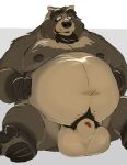  2021 anthro beard belly brown_body brown_fur canid canine facial_hair fur humanoid_hands kemono male mammal mature_male moobs motogen navel nipples overweight overweight_male pubes raccoon_dog resting_balls simple_background sitting solo tanuki 