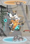  anthro aperture_logo aperture_science clothed clothing falling fully_clothed hi_res jumpsuit male mammal midair nicksfurry pawpads paws portal_(series) portal_gun portals procyonid raccoon solo valve video_games weighted_companion_cube 
