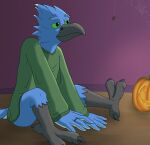  absurd_res anthro arachnid arthropod avian beak birbdrain bird blue_body blue_feathers bluebird cel_shading clothed clothing digital_drawing_(artwork) digital_media_(artwork) feather_hands feathers green_eyes green_sclera hi_res jack-o&#039;-lantern male oscine partially_clothed passerine ring shaded sitting sitting_on_floor solo spider spider_web sweater talons thrush_(bird) topwear white_body white_feathers 