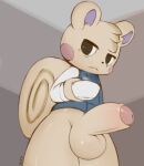  :&lt; animal_crossing anthro balls beverage big_balls big_penis biped black_eyes black_nose blue_clothing blue_topwear blue_vest blush blush_stickers bottomless clothed clothing coffee container cup curled_tail digital_media_(artwork) erection fisuku foreskin front_view fur genitals glistening glistening_balls glistening_body glistening_fur glistening_genitalia glistening_penis head_tuft holding_cup holding_object humanoid_genitalia humanoid_penis inside kemono long_penis looking_at_viewer low-angle_view male mammal marshal_(animal_crossing) monotone_body monotone_ears monotone_fur monotone_tail nintendo partially_retracted_foreskin penis portrait purple_inner_ear rodent sciurid shirt small_but_hung solo standing tan_body tan_ears tan_fur tan_penis tan_tail thick_penis thick_thighs three-quarter_portrait three-quarter_view topwear tree_squirrel tuft vest video_games white_body white_clothing white_fur white_shirt white_topwear 