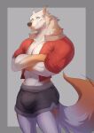  2021 abs anthro blue_eyes bottomwear bulge canid canine clothed clothing fur furdo grey_background hi_res idrysse3 looking_at_viewer male mammal multicolored_body multicolored_fur neck_tuft open_clothing open_shirt open_topwear orange_body orange_fur pants pecs shirt simple_background smile solo topwear tuft two_tone_body two_tone_fur white_body white_fur 