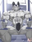  abs absurd_res anthro black_horn black_penis dragon erection exercise genitals hi_res horn male masterelrest muscular nipple_piercing nipples nude pecs penis piercing red_eyes scalie sitting solo white_body 