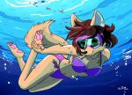  4_toes anthro barefoot bikini breasts canid canine canis chef chef_cheiro_(artist) claws clothing diving_mask feet female mammal mask okane_akemi pawpads paws pink_pawpads plantigrade powree soles solo swimming swimwear toes underwater water wolf 