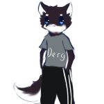  1:1 ambiguous_gender anthro black_body black_fur blue_eyes blue_sclera clothing fluffy fluffy_tail fur fur_markings hi_res mammal markings simple_background smile snoiifoxxo solo text text_on_clothing text_on_topwear topwear tuft white_background white_body white_fur 