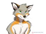  2021 anthro canid canine digital_media_(artwork) fox green_eyes koul male mammal simple_background solo text url white_background 