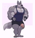  2021 absurd_res anthro big_muscles canid canine canis claws clothed clothing erection eyebrows fangs frown fur genitals hi_res huge_muscles humanoid_genitalia humanoid_penis lizard_soup looking_at_viewer male mammal muscular muscular_anthro muscular_male narrowed_eyes nipples pecs penis poking_out shirt short simple_background solo standing tank_top teeth thick_thighs topwear tuft white_background wolf wristband 